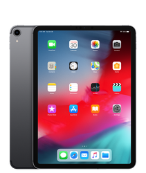 iPad Pro - 11 in - (1st Gen)
